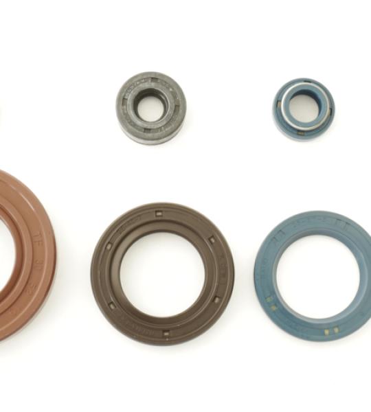SERIE PARAOLIO BETA 125/240/260 TR,RV