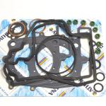 SERIE GUARNIZIONI SMERIGLIO APRILIA SXV/RXV 5,5 550 06-11