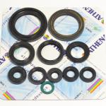 SERIE PARAOLIO HONDA CRF250R 04-17