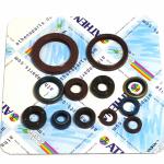 SERIE PARAOLIO APRILIA SXV/RXV 450 06-11