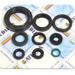 SERIE PARAOLIO CR500 85-01/CR250 85-91