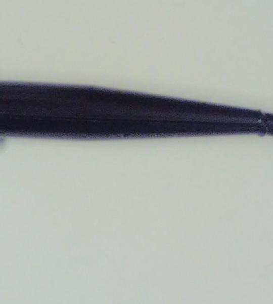 Silenziatore tipo originale per Garelli Noi Cuty Power