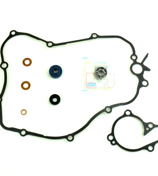 POMPA ACQUA KIT SERIE GUARNIZIONI + CUSCINETTO YAMAHA YZ125 05-22
