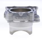 GRUPPO TERMICO IN ALLUMINIO KAWASAKI KX 250 D.78 2020