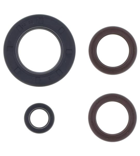 SERIE PARAOLIO KTM 250 2T. GS-MX 74-81