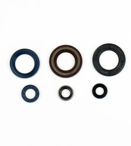 SERIE PARAOLIO KTM 350 440 500