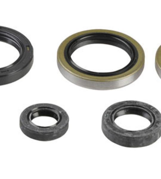 SERIE PARAOLIO KTM MXC/250-300 03-16