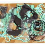 KIT GUARNIZIONI MOTORE KTM SX/MXC/EXC/EGS 125 02-15