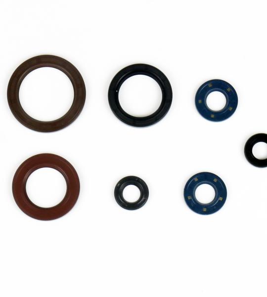 SERIE PARAOLIO KTM SX-F 250/350 2016-21