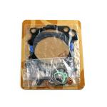 SERIE GUARNIZIONI GRUPPO TERMICO YZF450 D.102 2010-16