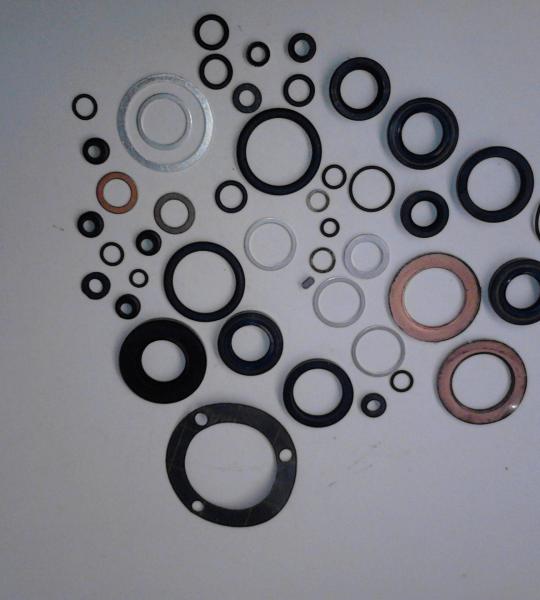 Serie Paraolio Ducati 350 600