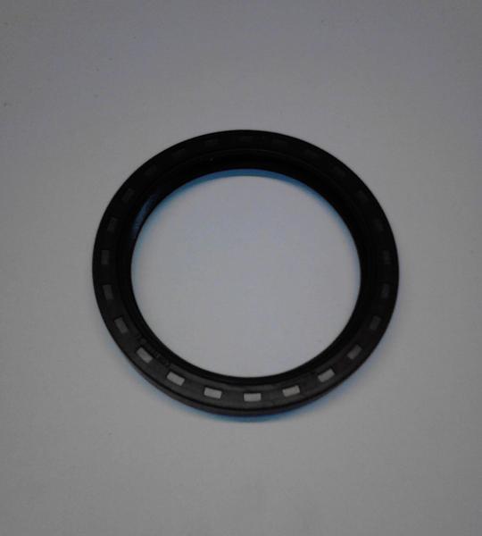 Paraolio Motore Ducati