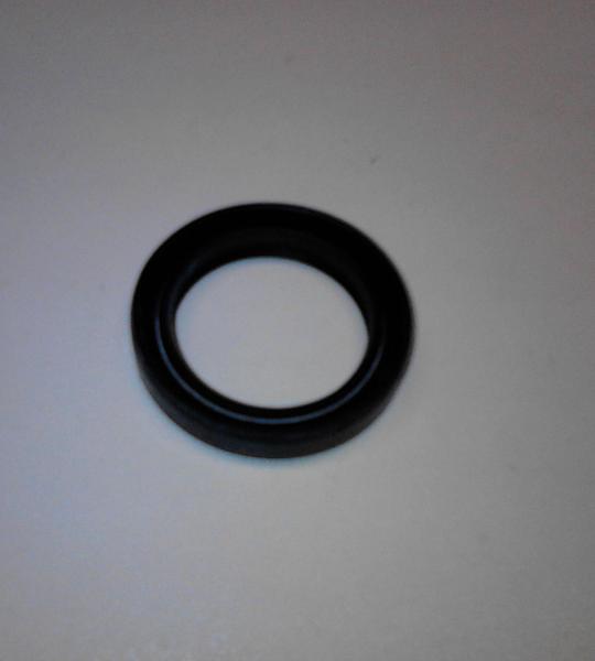 Paraolio originale Cagiva, Ducati