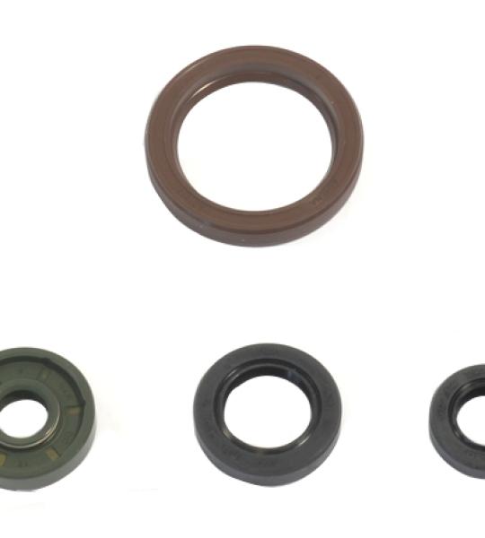 SERIE PARAOLIO KTM EXC450-500 12-13 / SX-F 450 2013