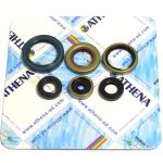 SERIE PARAOLIO KTM SX 85 2003-2017