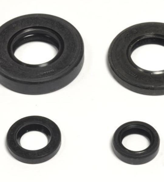SERIE PARAOLIO YZ 80 E/LC/LV 93-01