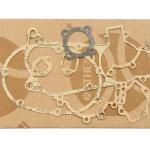 KIT GUARNIZIONI MOTORE BETA 48 CC 2T HOBBY / HOLLY
