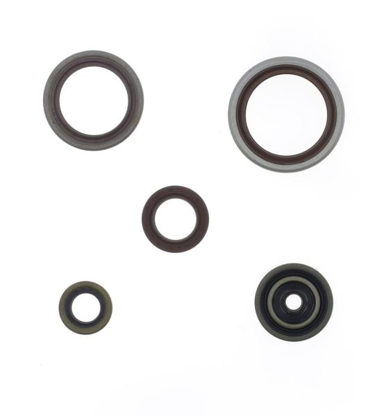SERIE PARAOLIO BETA RR 300 13-22