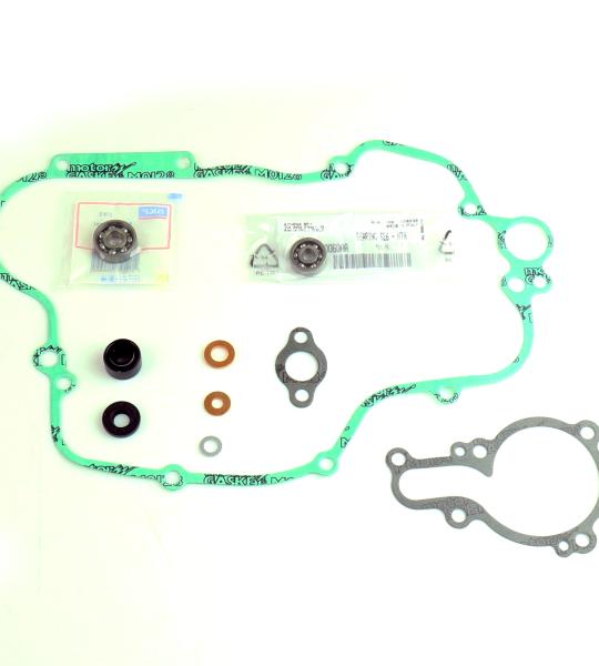 POMPA ACQUA KIT SERIE GUARNIZIONI + CUSCINETTO KTM 450EXC 08-11