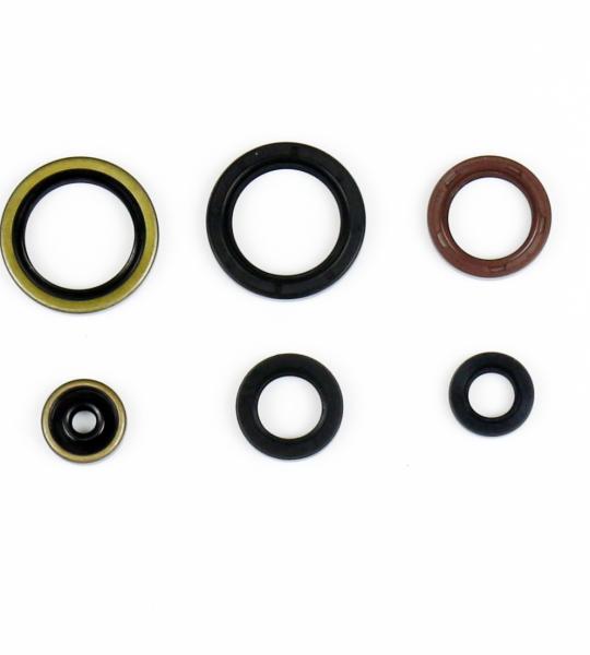 SERIE PARAOLIO KTM SX 125/SX 150 2016-21