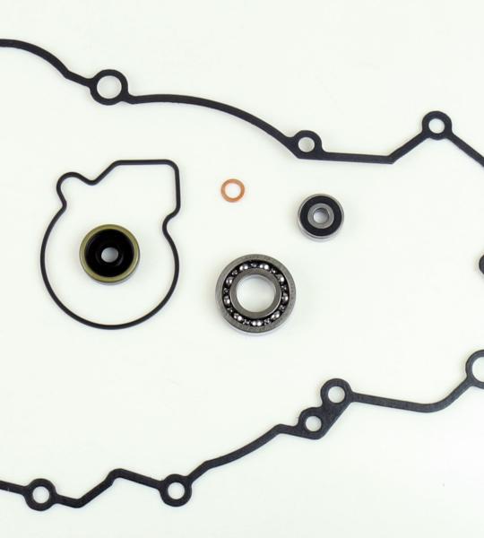 POMPA ACQUA KIT SERIE GUARNIZIONI + CUSCINETTO KTM SX125 16-21