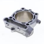 GRUPPO TERMICO SUZUKI RMZ250 D.83 2019-2021