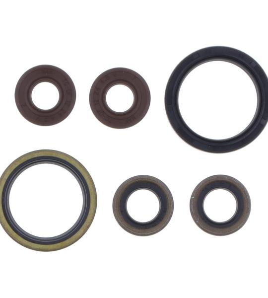 SERIE PARAOLIO SHERCO SEF-R 450 15-21