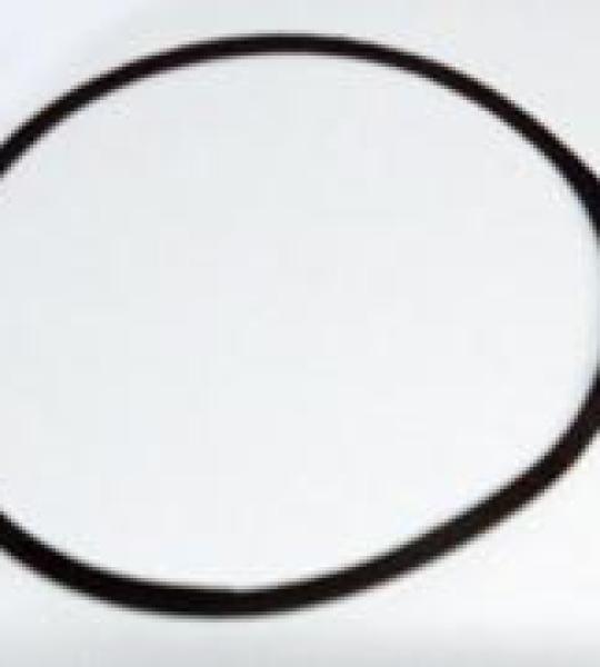 Guarnizione coperchio piastra ruttore per Benelli 124-254-304