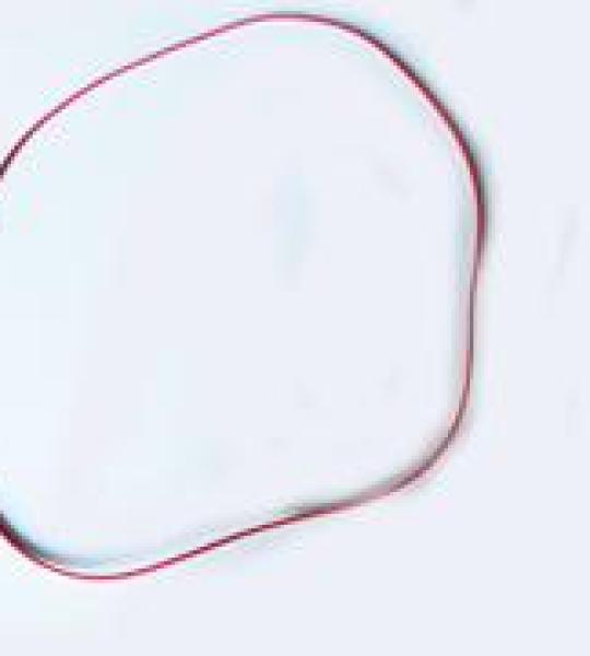 Guarnizione O-Ring coperchio per Benelli 254-304
