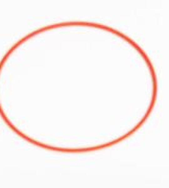 Guarnizione O-Ring coperchio per Benelli 124