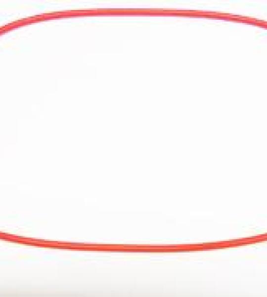 Guarnizione O-Ring centrale per coperchio per Benelli 254-304