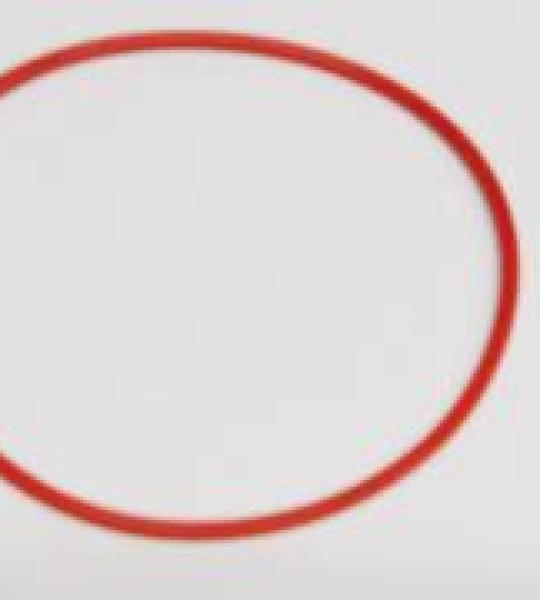 Guarnizione O-Ring per Benelli