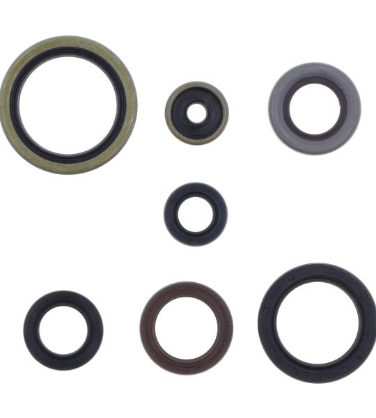 SERIE PARAOLIO KTM SX250-EXC300 18-22
