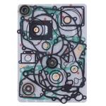 KIT GUARNIZIONI MOTORE SHERCO SE-R 250/300 19-20 + OIL SEALS