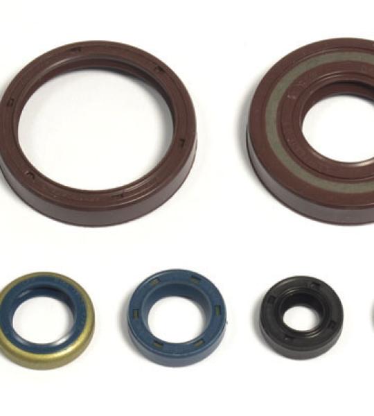 SERIE PARAOLIO HUSQVARNA WR 360 99-2002