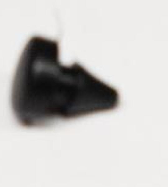 Tampone per Benelli