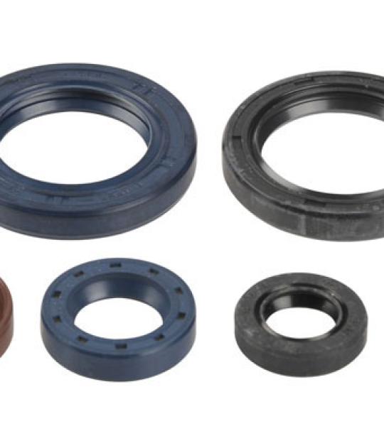 SERIE PARAOLIO KTM SX-F 250 06-13