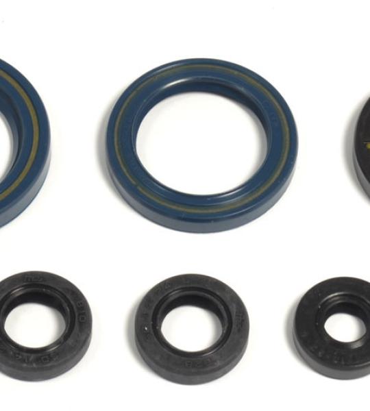 SERIE PARAOLIO KTM 125 GS MX 87-94