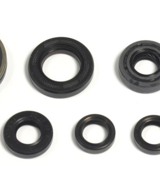 SERIE PARAOLIO YZ250F 01-13/GASGAS EC4T 13-14