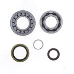 REVISIONE ALBERO MOTORE KIT KTM SX 250/300