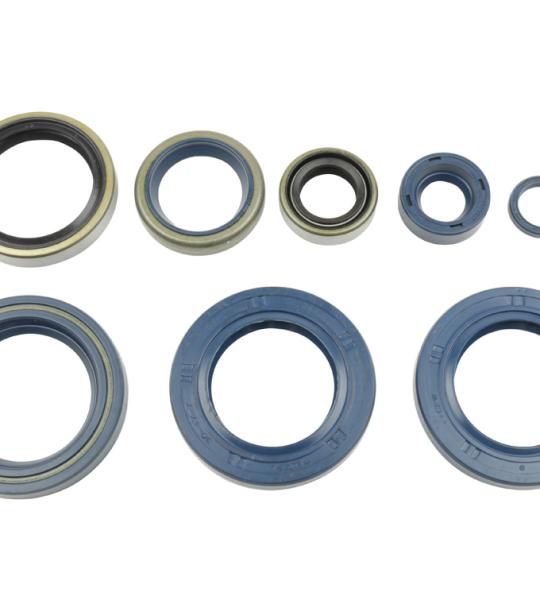 SERIE PARAOLIO 625 SXC/640 LC4 SUPERM/660 SMC '03-07