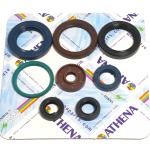 SERIE PARAOLIO KTM SX-F 250 06-13