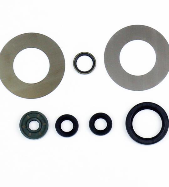 SERIE PARAOLIO KTM SX-F 450 2016-21