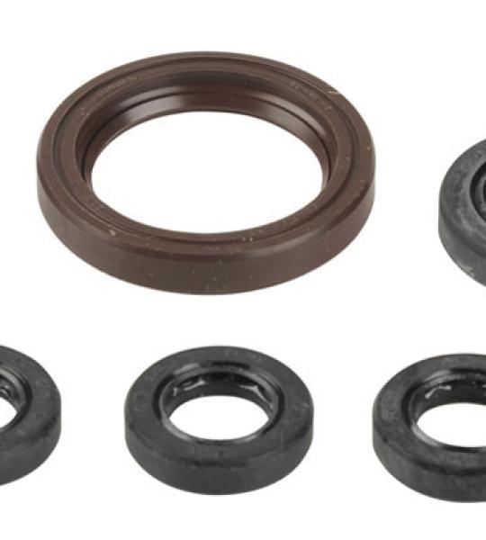 SERIE PARAOLIO KTM SX/EXC 400-520/450-525 cc.00-06
