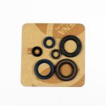 SERIE PARAOLIO KTM 350 440 500