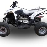 Scarico GPR compatibile con Aeon Cobra 300 2007-2021 -  Deeptone Atv -  Scarico completo omologato - fornito con db killer estraibile e collettore