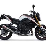 Scarico GPR compatibile con Yamaha Fz 8 2010-2016 - Gpe Ann. titanium