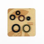 SERIE PARAOLIO KTM SX 125/SX 150 2016-21