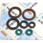 SERIE PARAOLIO KTM EXC450 09-11