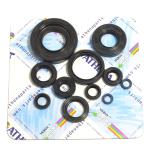 SERIE PARAOLIO YAMAHA YZ LC 250 01-22